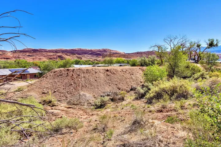 Expansive desert landscape featuring natural vegetation and red rock formations