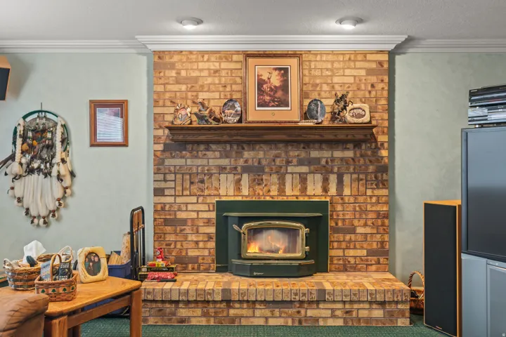 Detailed view of ornamental molding, a wood stove, and carpet flooring