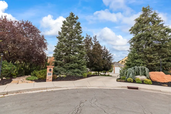 Obstructed view of property with concrete driveway