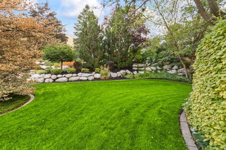 View of grassy yard