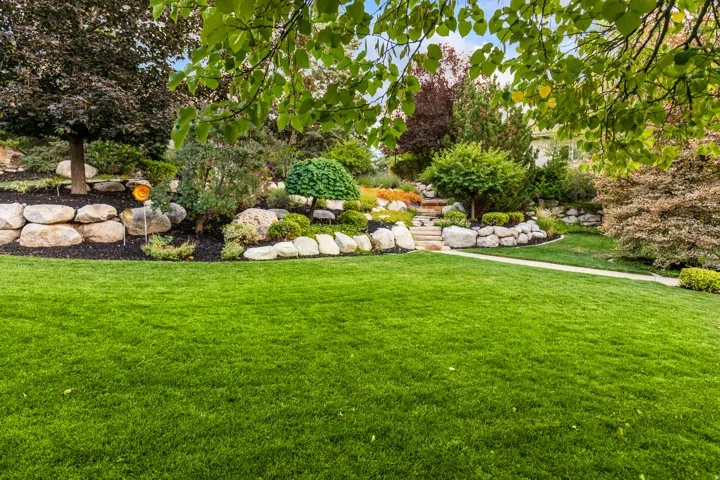 View of green lawn