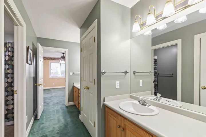Bathroom with vanity, dark carpet, and a shower with curtain
