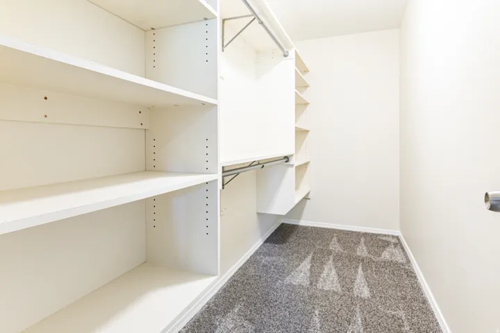 Walk-in closet featuring built-in shelving, hanging rods, light-toned walls, and patterned carpeting