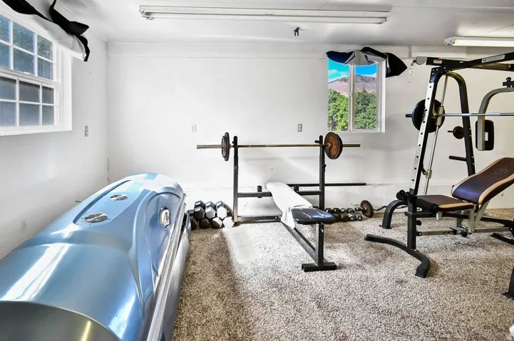 Carpeted bonus room with white painted walls, two windows, and fluorescent lighting