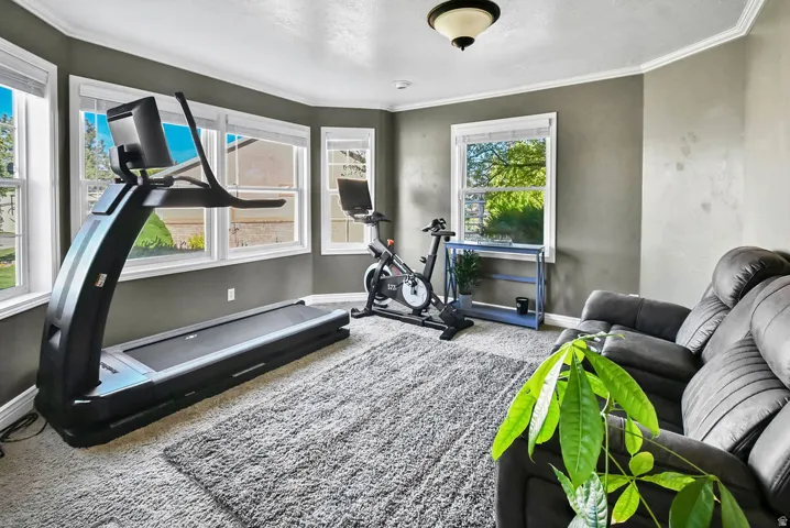Carpeted room with a bay window configuration, crown molding, and a flush mount ceiling light fixture
