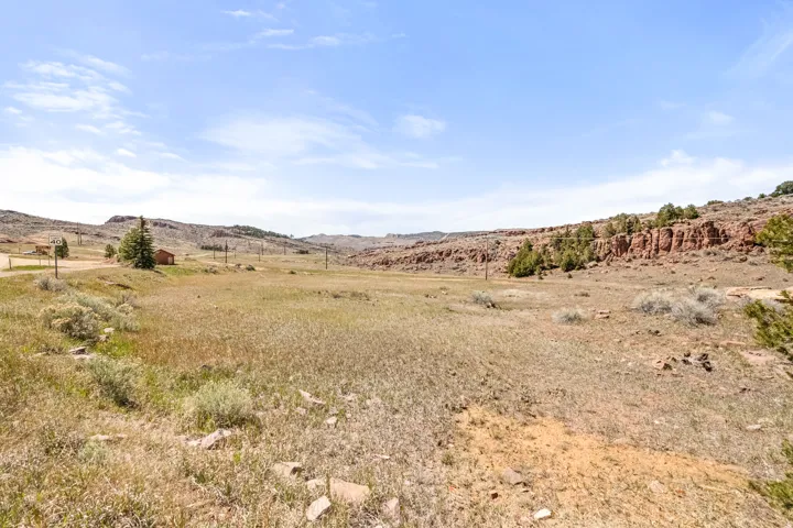 Expansive open land with natural grasses, featuring distant rock formations and scattered evergreen trees