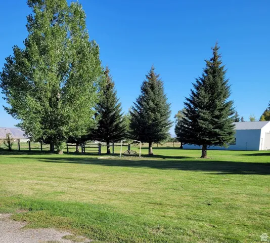 Expansive green lawn with mature trees and a white outbuilding