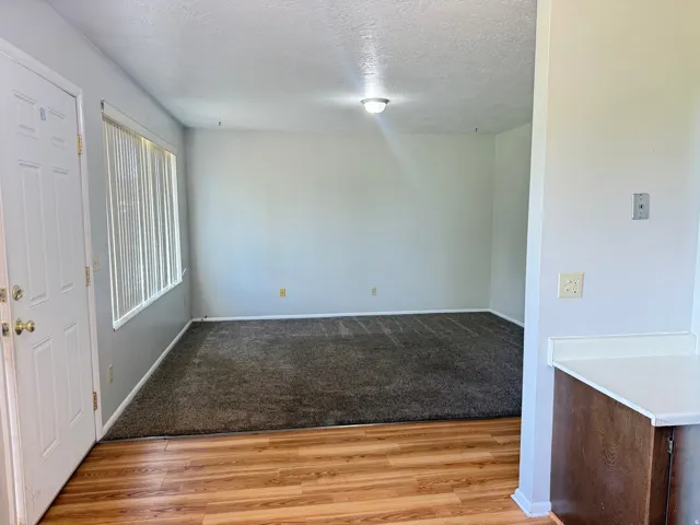 Neutral wall color with a combination of wood-finish flooring and dark carpeting