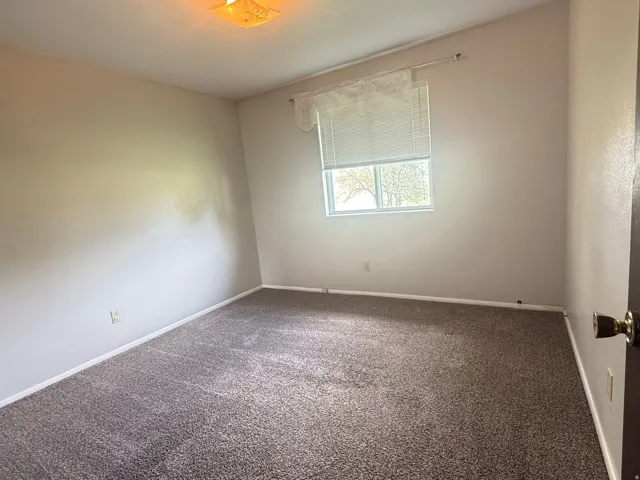 Bright room featuring neutral wall tones, textured carpeting, a window with horizontal blinds, and a surface-mounted ceiling light fixture