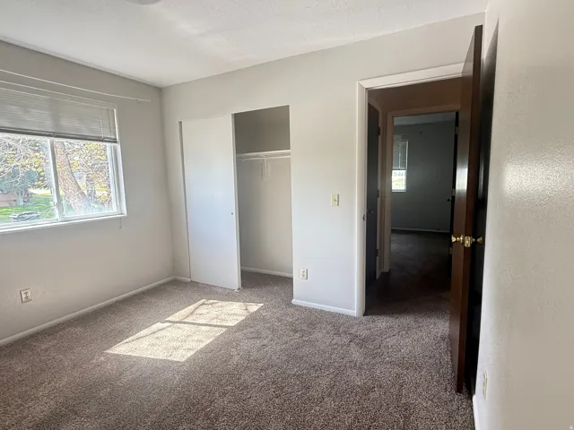 Wall-to-wall carpeting and neutral wall paint