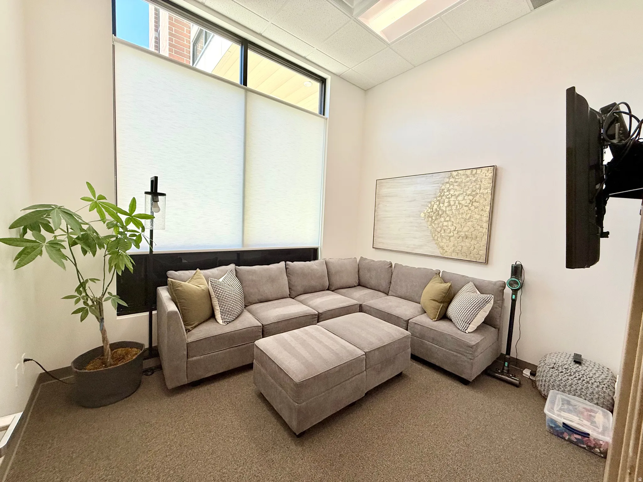 Spacious room featuring broad windows with light-filtering cellular shades, high ceilings, and neutral-toned wall-to-wall carpeting