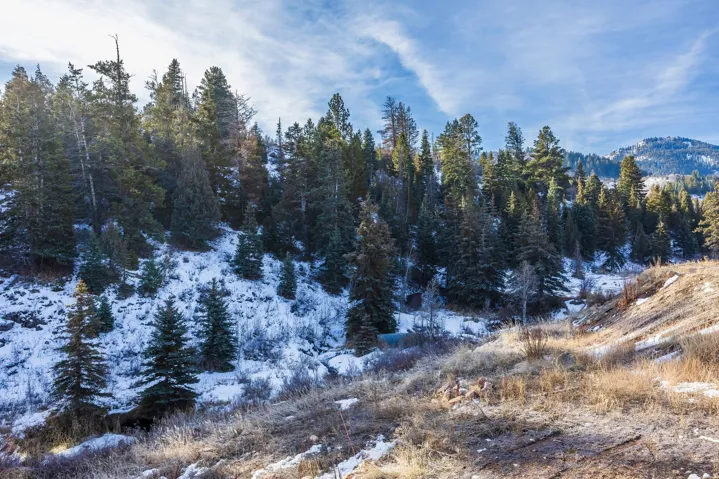 4055 Kilby Rd, Park City, Utah 84098