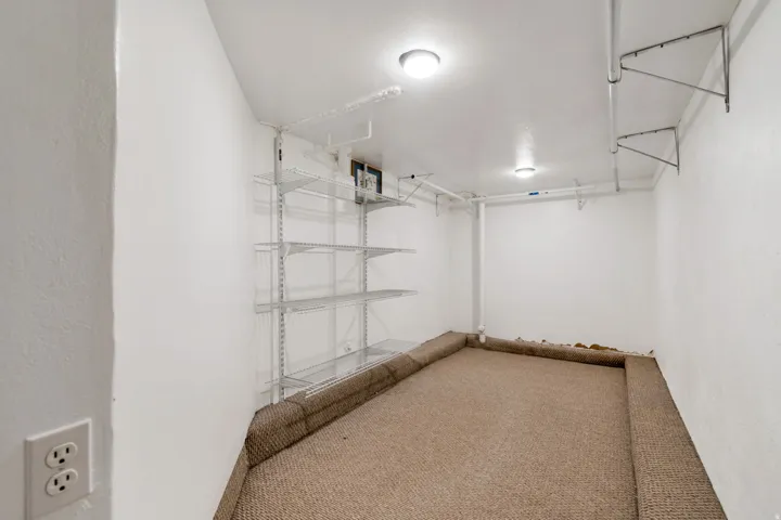 Carpeted utility room featuring white painted walls and ceiling, two flush-mount ceiling lights, and multiple shelving units