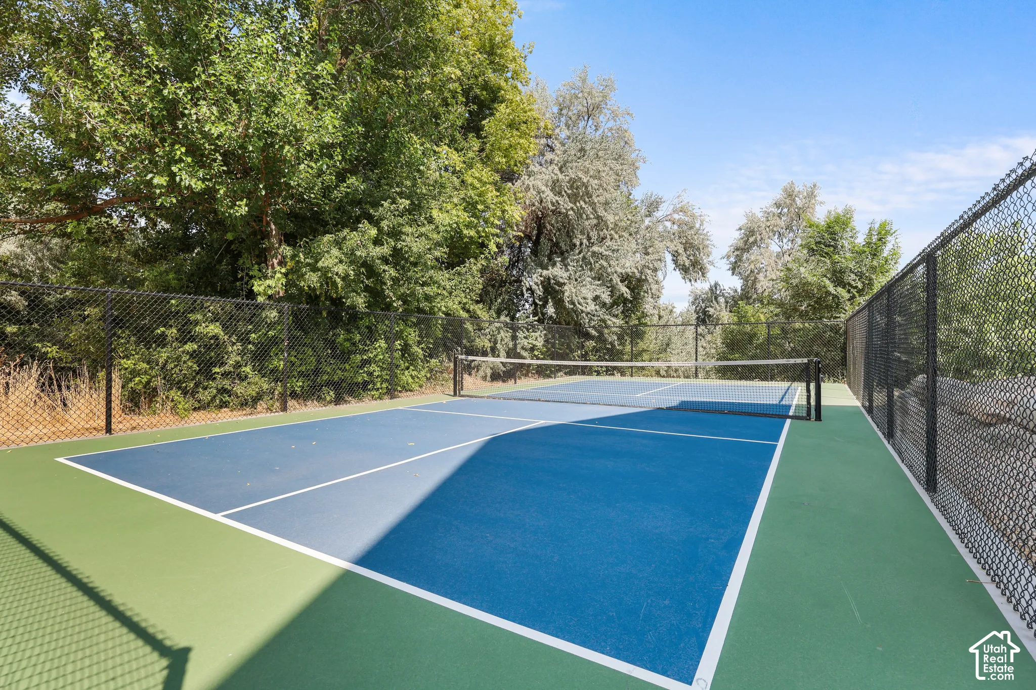Pickleball court featuring a blue playing surface and green surrounds, enclosed by chain-link fencing