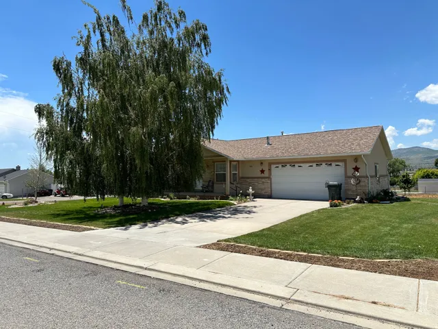 Exterior featuring a large mature tree, a light-toned facade, an attached garage, a paved driveway, and a manicured lawn