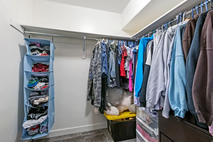 Walk-in closet featuring white walls, grey carpet, and extensive clothing rods