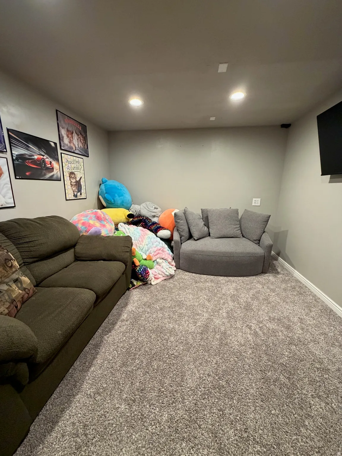 Basement Apartment Family Room