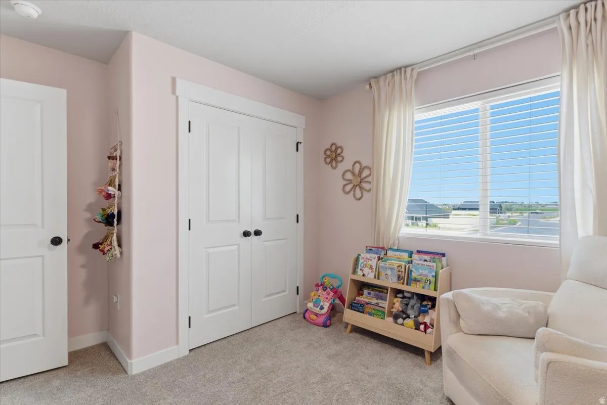 Bright interior featuring a window with white blinds and curtains, light-toned carpeting, white trim, and a double-door closet with black hardware