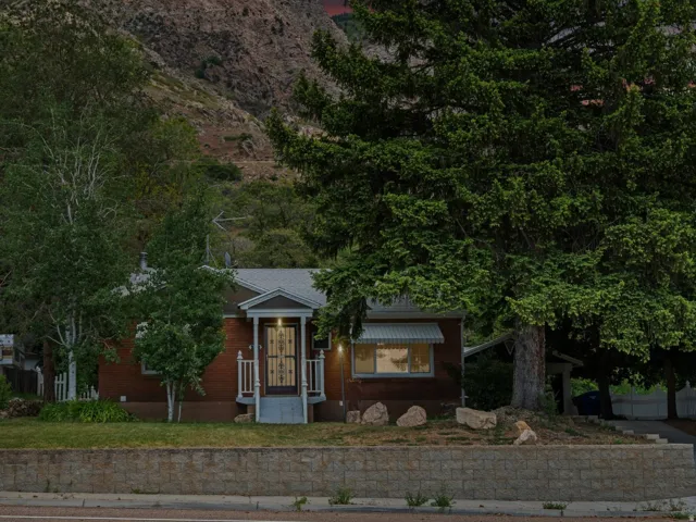 Brick facade residence with a prominent mature evergreen tree