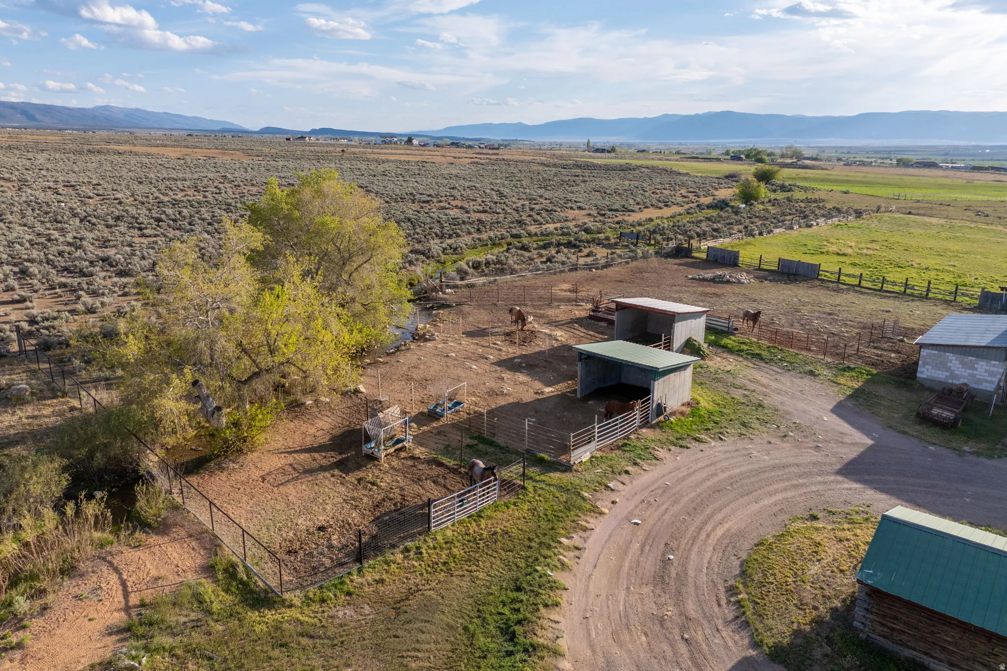 Expansive agricultural property featuring multiple animal shelters, fenced enclosures, a dirt road, and mature trees