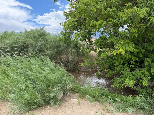 Natural landscape featuring a flowing creek, mature trees, dense foliage, and open sky
