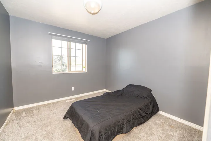Carpeted room featuring neutral gray walls, a grid-paned window, and a ceiling-mounted light fixture