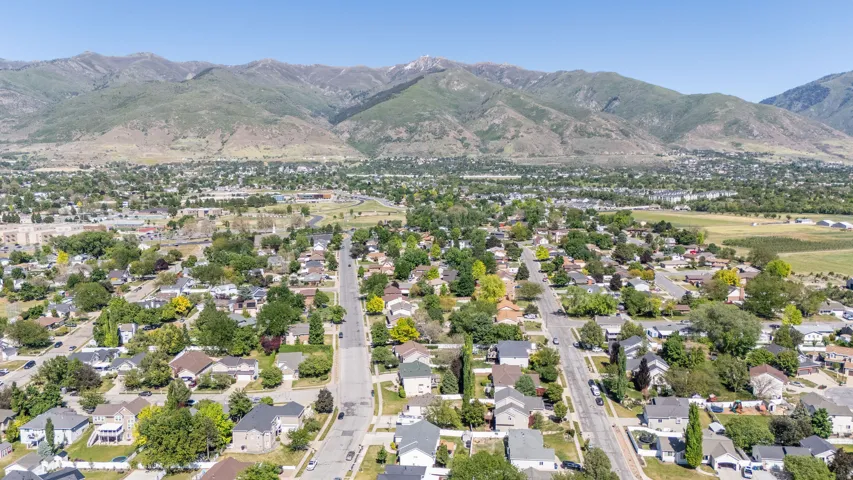 Expansive neighborhood with mature trees, established residential streets, and distant mountain ranges