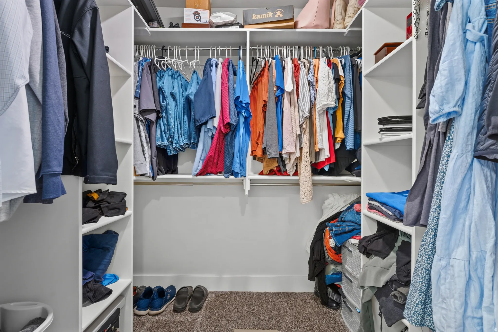 Walk-in closet featuring white built-in shelving, multiple hanging rods, and carpet flooring