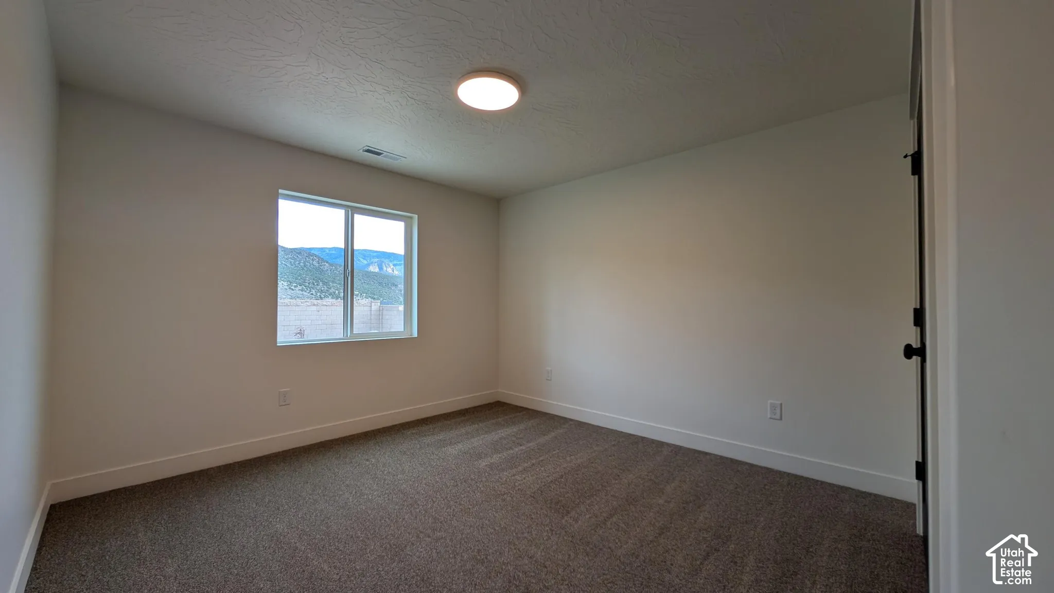Neutral wall tones, durable carpet flooring, and a flush-mount ceiling light fixture