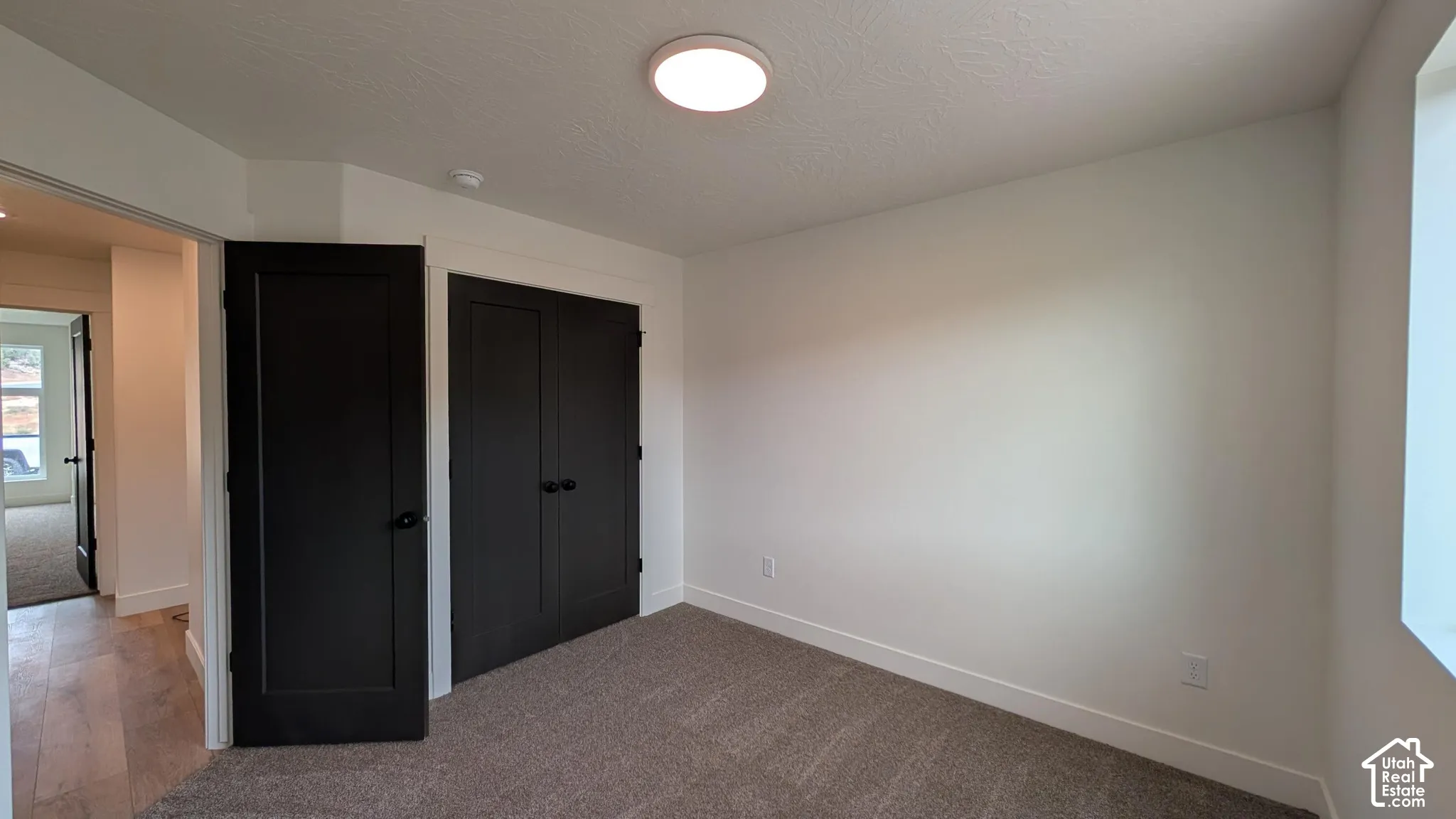 Neutral wall paint, plush carpeting, built-in closet with dark paneled doors, and ceiling-mounted light fixture