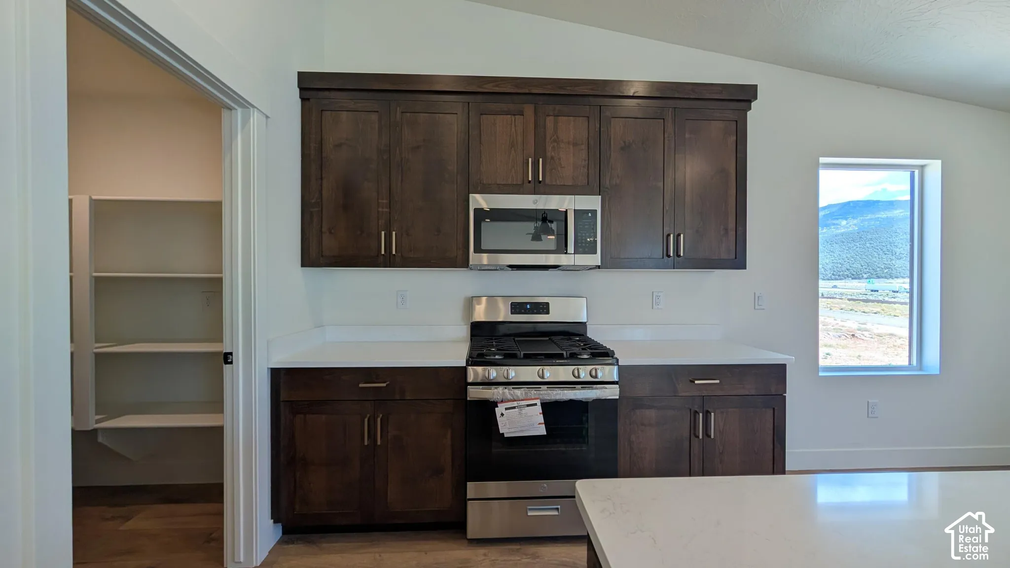 Kitchen featuring dark wood-finish cabinetry, stainless steel appliances, light-toned countertops, and a walk-in pantry with shelving