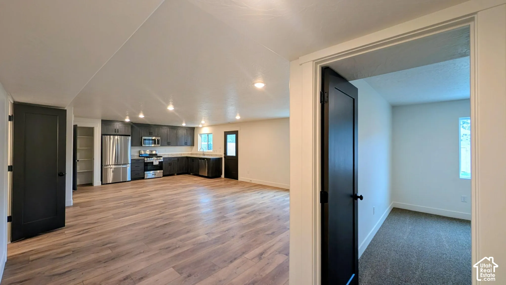 Expansive wood-finish flooring throughout the main living area, complemented by a modern kitchen featuring dark wood cabinetry and stainless steel appliances