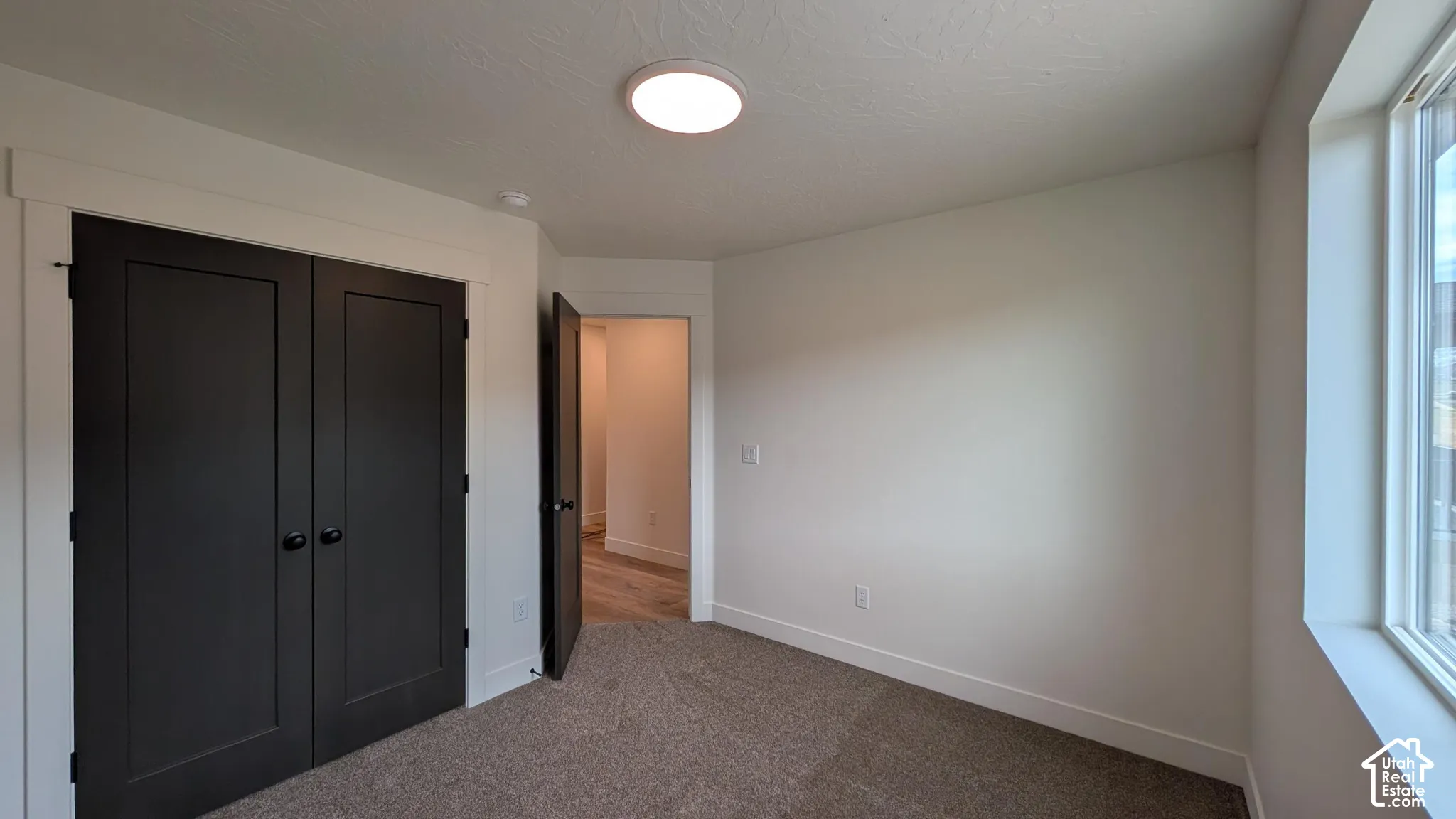 Recessed lighting, carpet flooring, baseboard trim, dual-pane window, and painted interior doors