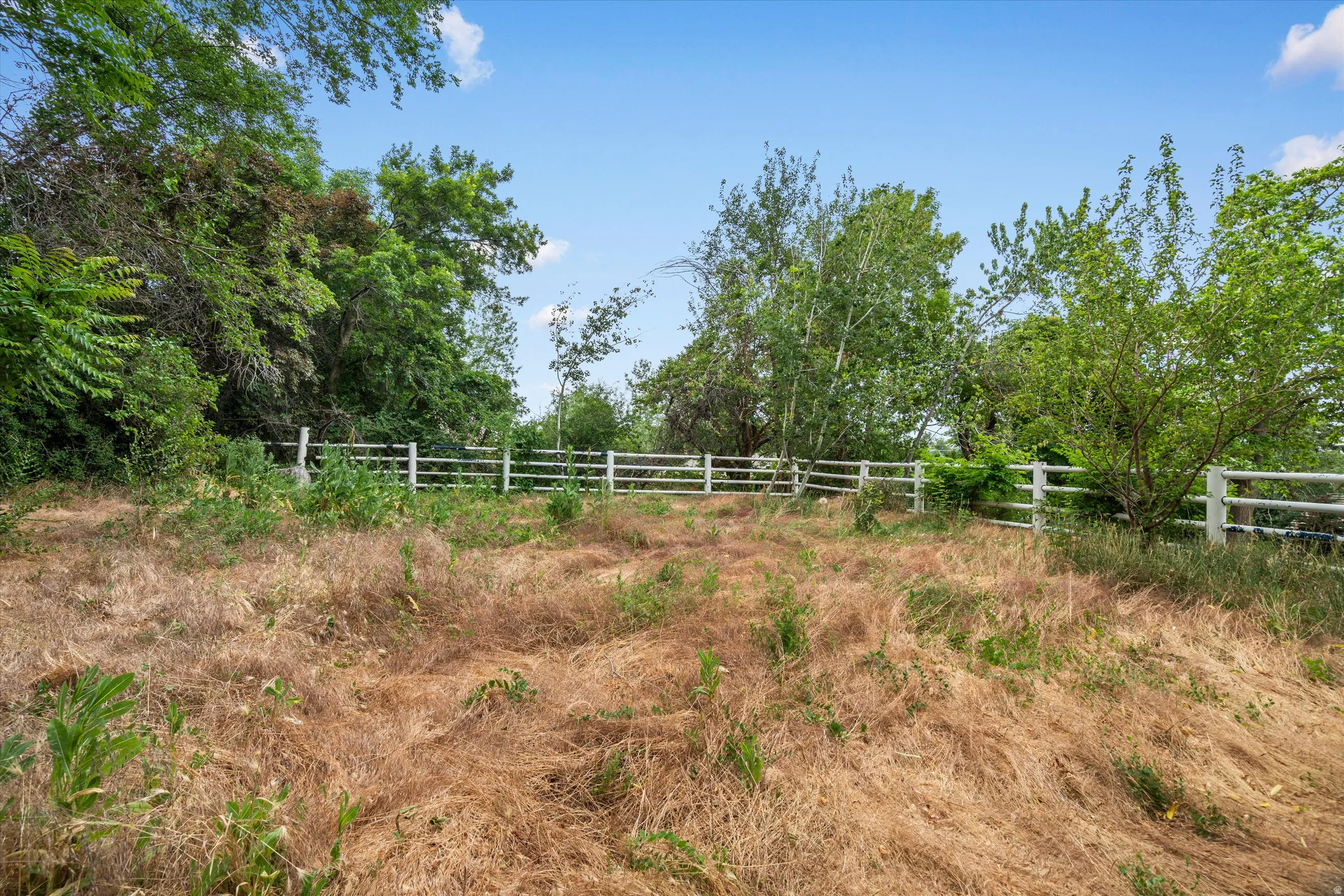 Expansive parcel featuring a white ranch-style fence, mature trees providing natural screening, and a clear blue sky overhead