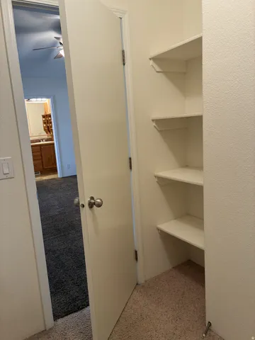 Built-in shelving for storage in the walk-in closet