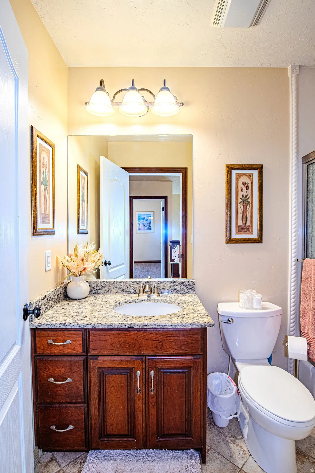 Second bathroom vanity featuring a granite countertop with an integrated sink, wood cabinetry, and a three-light fixture