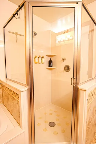 Enclosed glass shower stall with a corner shelf, integrated lighting, and a chrome shower fixture in Master bathroom