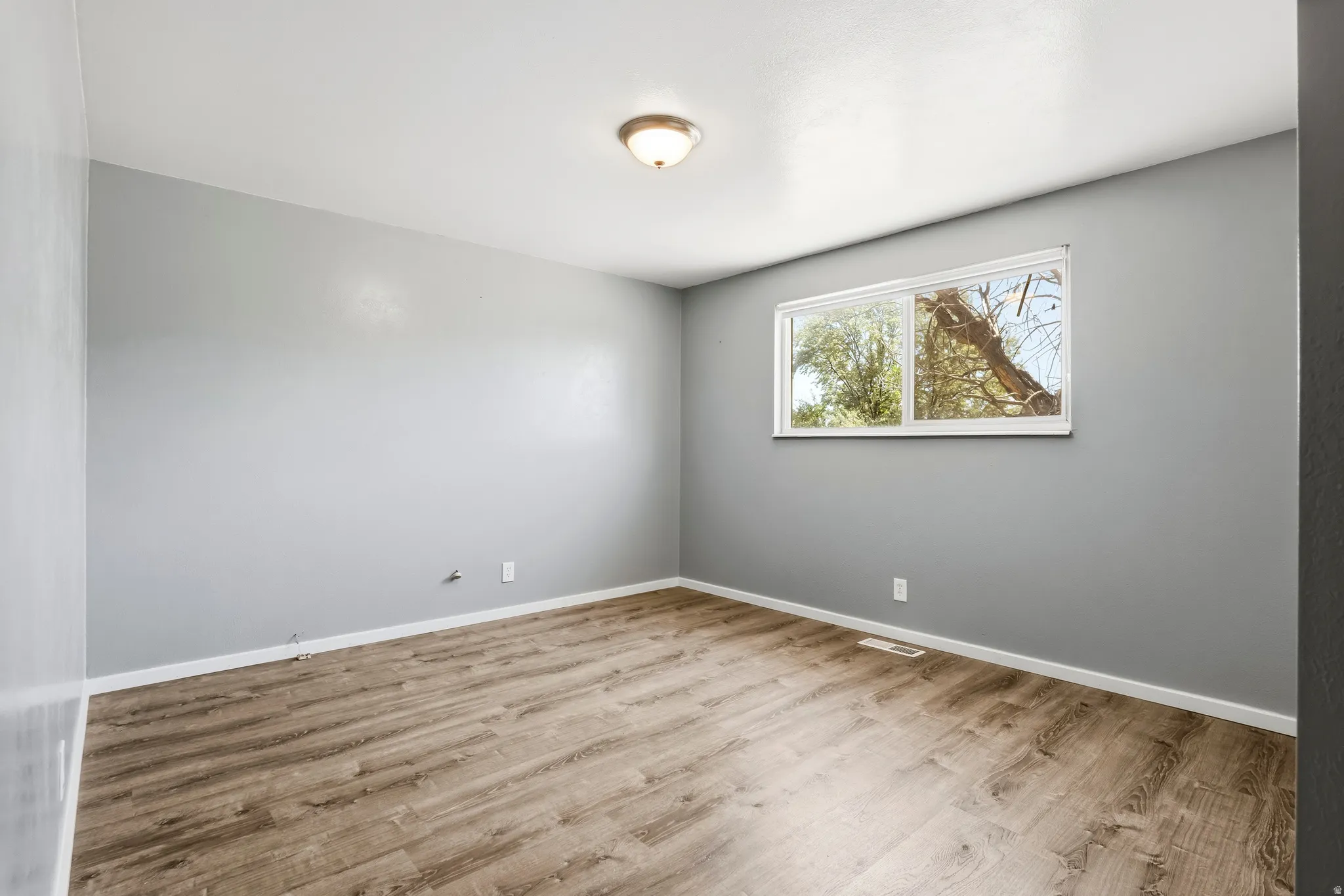 Bright room featuring wood-finish flooring, light gray walls, a white ceiling, and a flush-mount ceiling light fixture