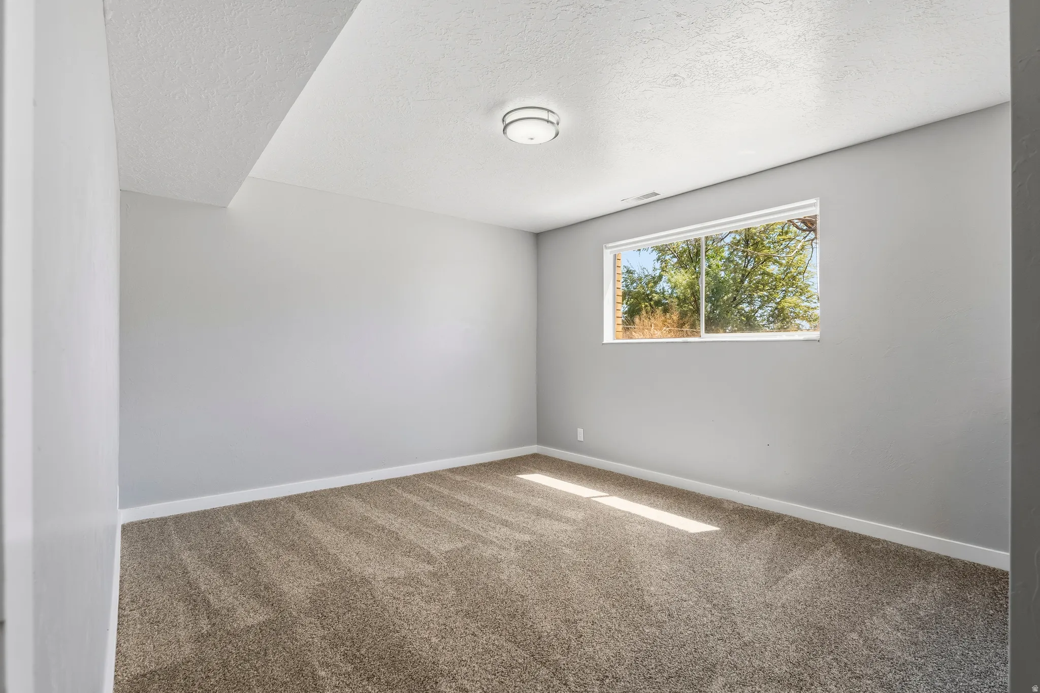 Neutral gray walls with white baseboards and textured carpeting