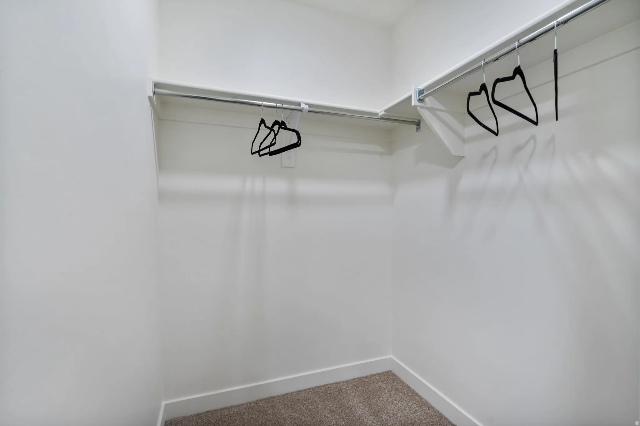Walk-in closet with carpet flooring, white walls, and built-in shelving with metal hanging rods
