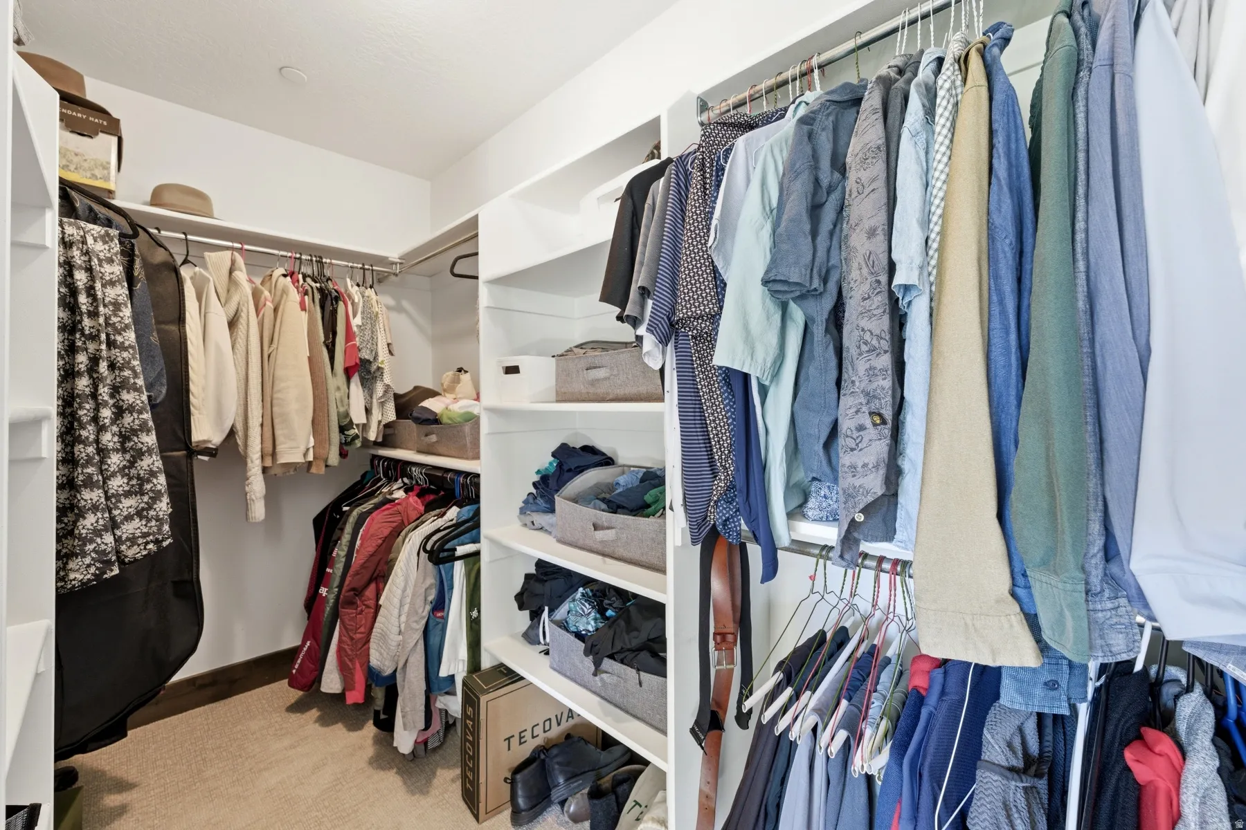 Walk-in closet featuring white built-in shelving, multiple hanging rods, and carpet flooring
