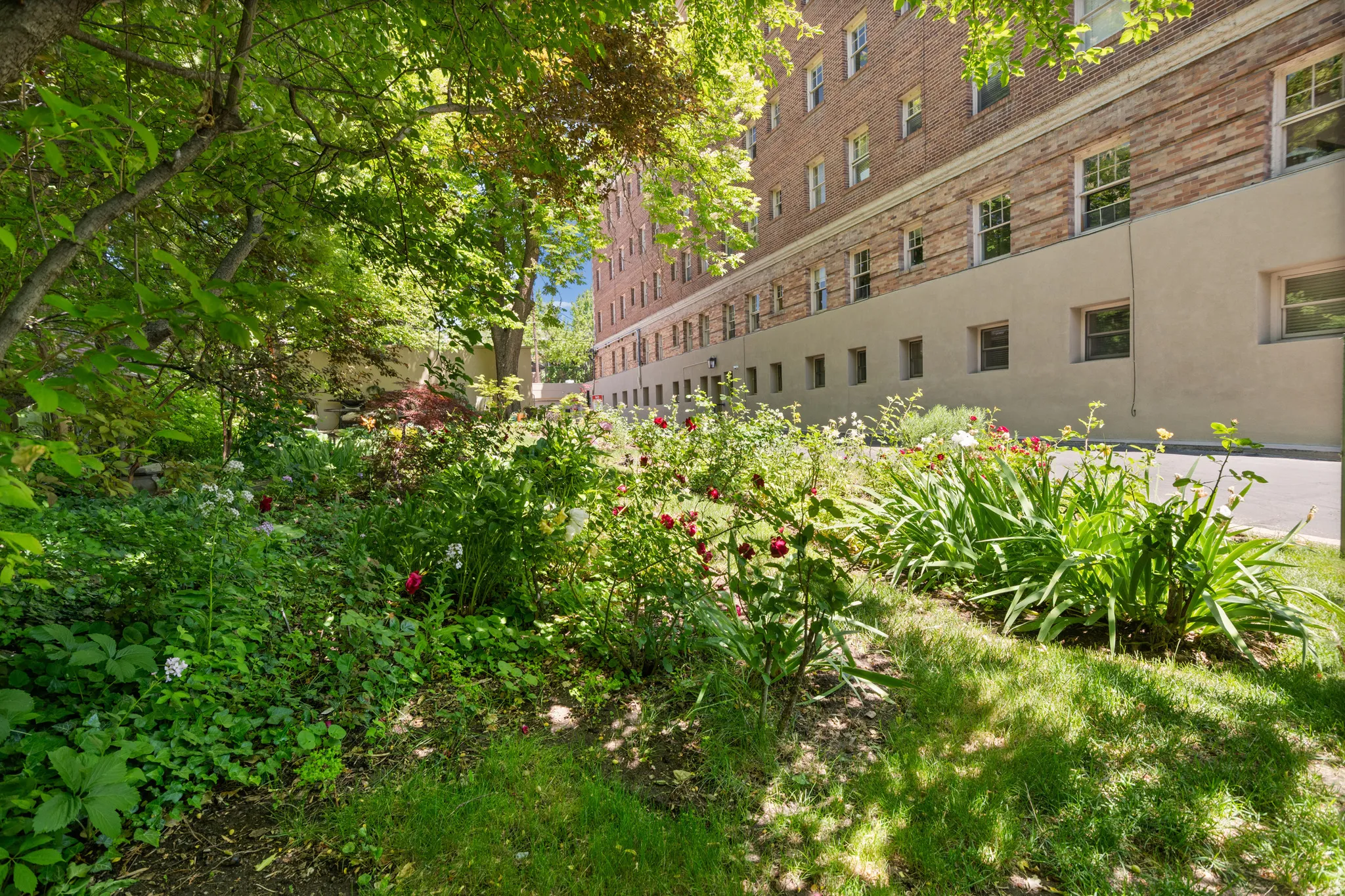 Lush garden landscaping with mature trees and varied plantings, featuring a brick and stucco exterior building in the background