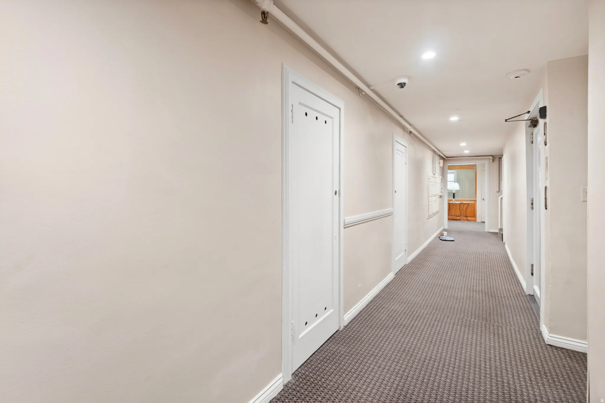 Basement hallway with storage door