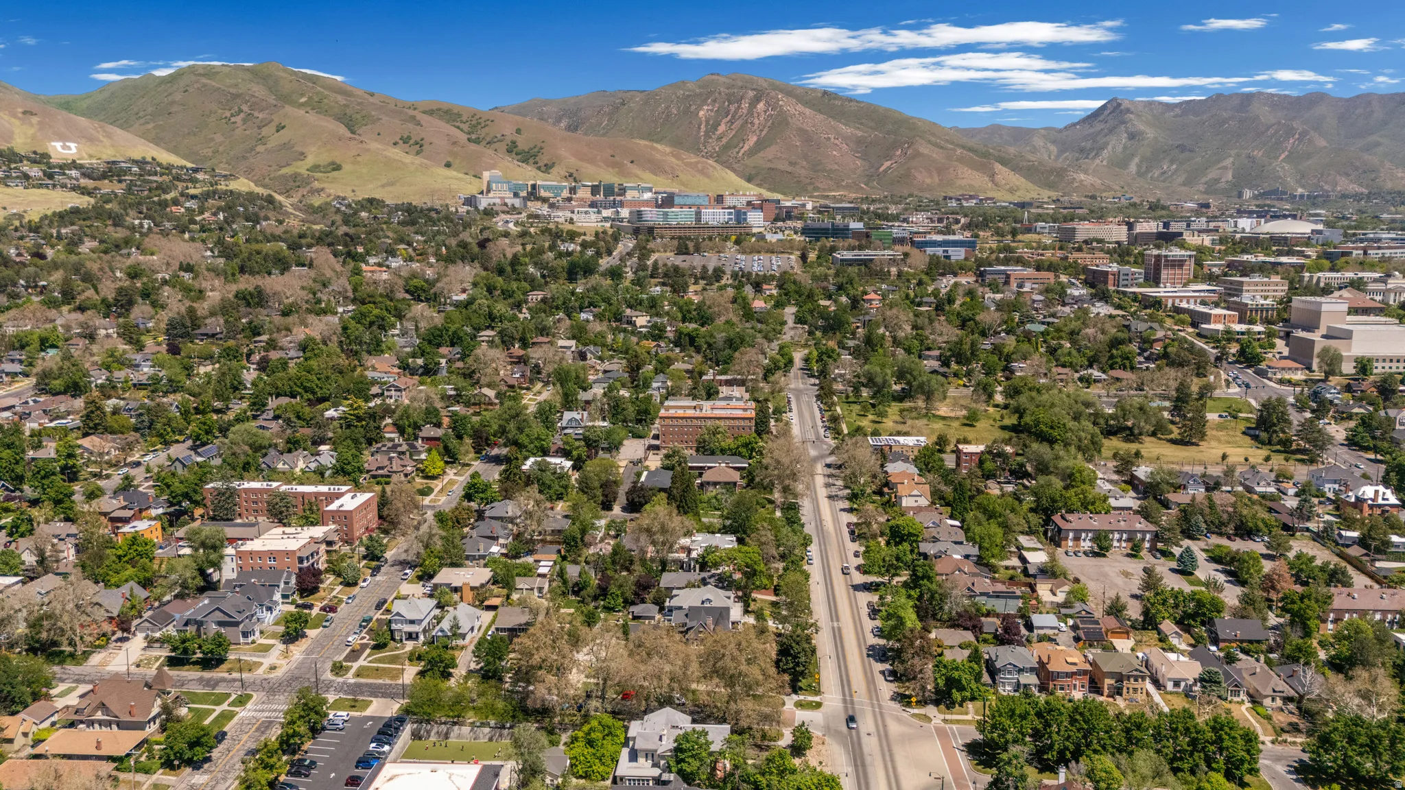 Expansive aerial perspective showcasing a verdant urban landscape with mature trees and a comprehensive street grid