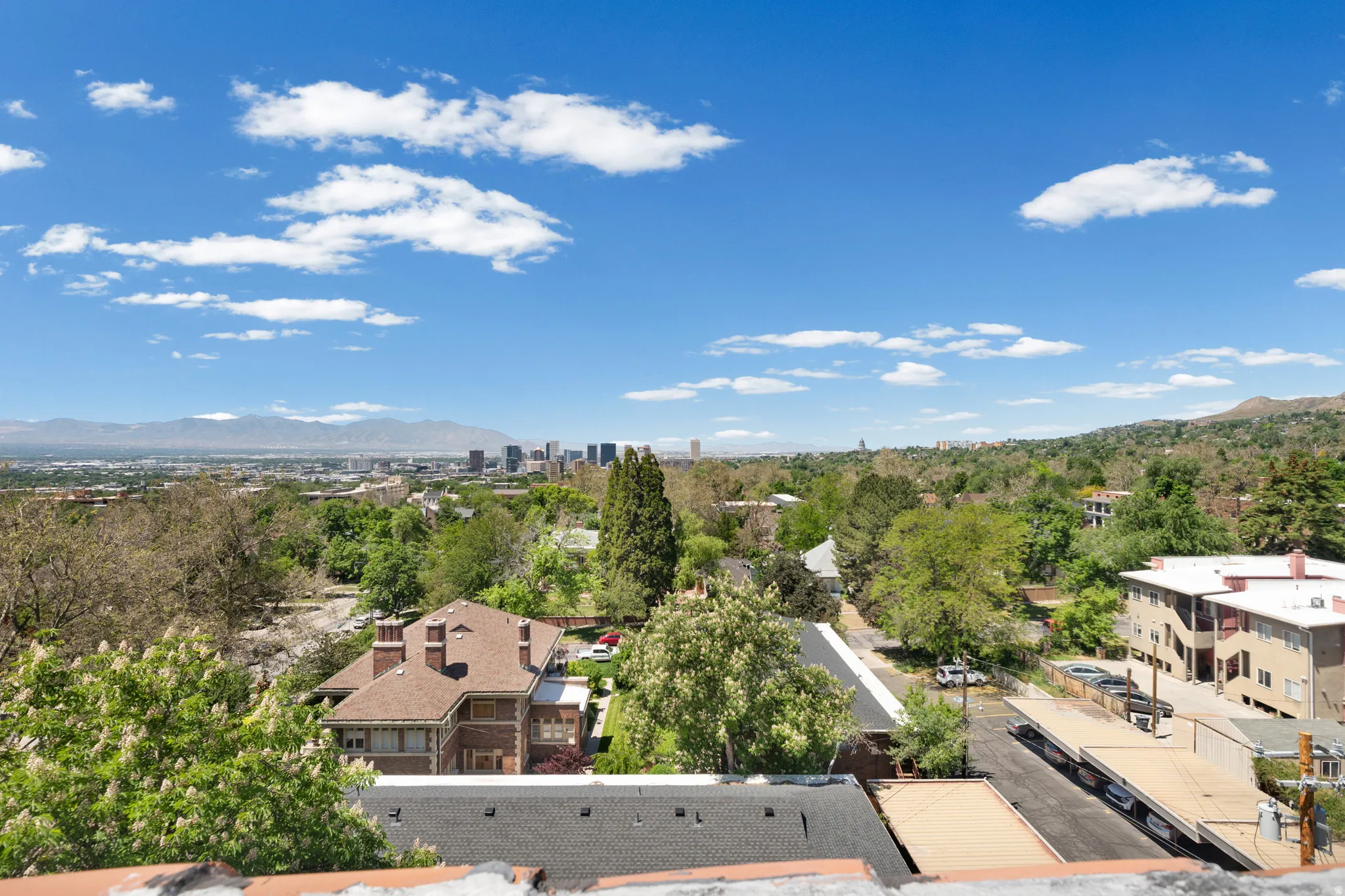 Expansive cityscape framed by distant mountains and abundant mature trees