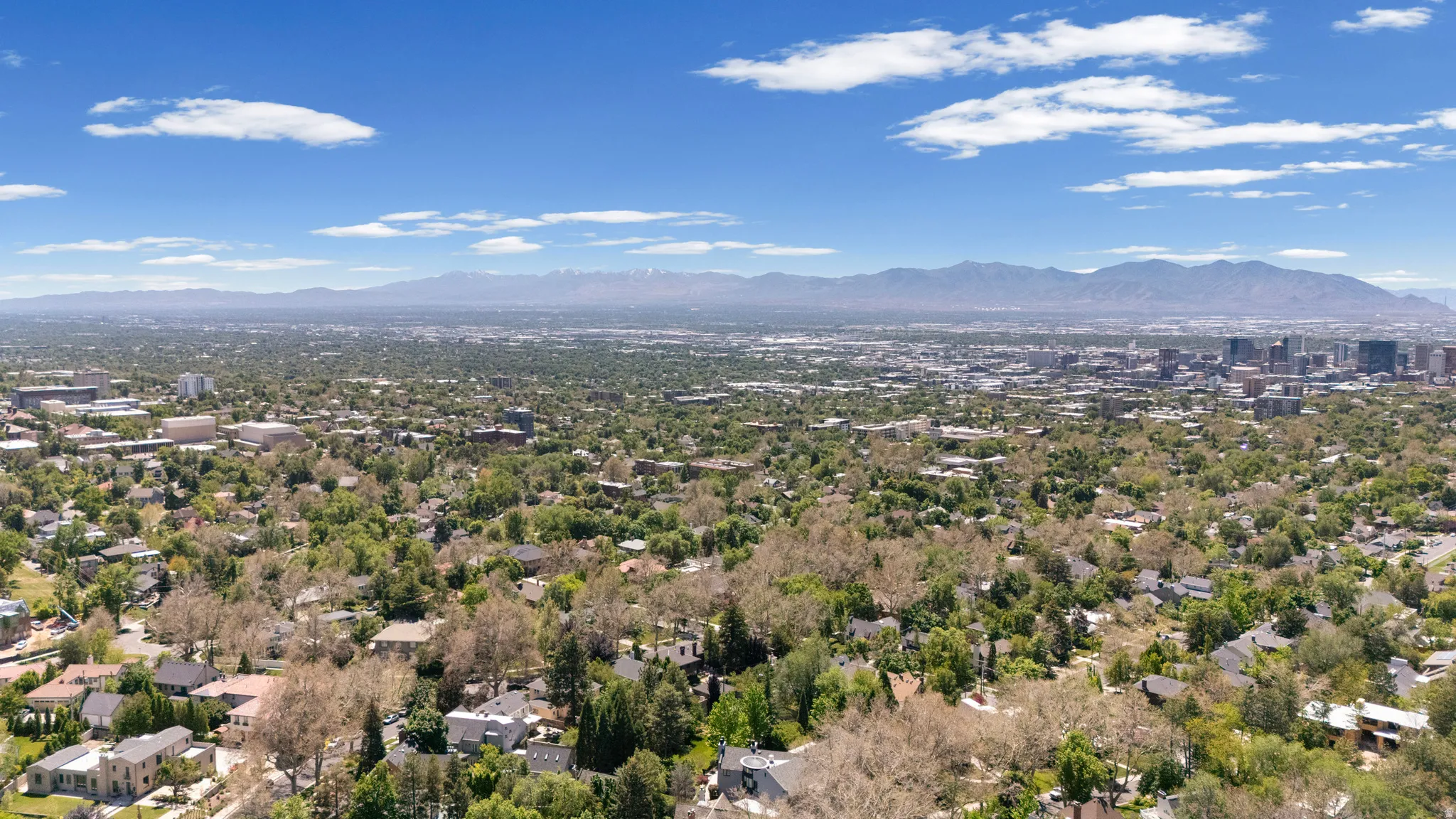 Expansive urban landscape featuring a dense residential area, mature tree canopy, distant city skyline, and mountain range backdrop under a bright blue sky with scattered clouds