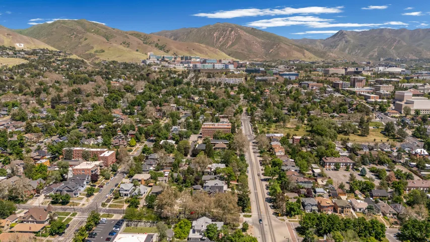Expansive aerial perspective showcasing a verdant urban landscape with mature trees and a comprehensive street grid