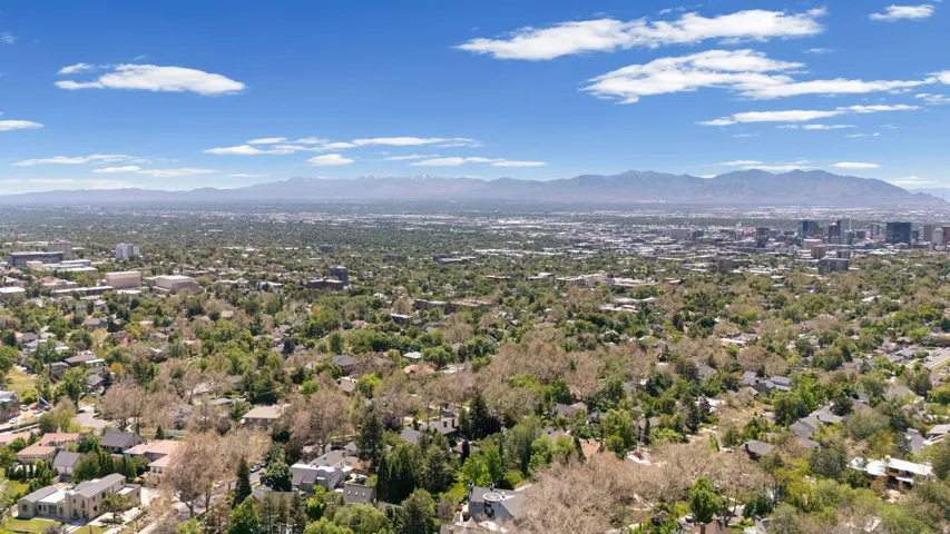 Expansive urban landscape featuring a dense residential area, mature tree canopy, distant city skyline, and mountain range backdrop under a bright blue sky with scattered clouds