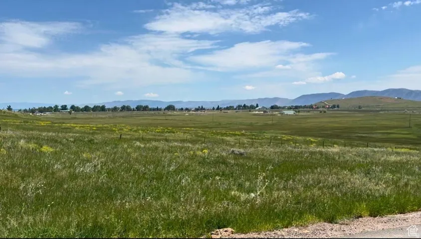 Expansive land parcel featuring natural grasses and scattered wildflowers