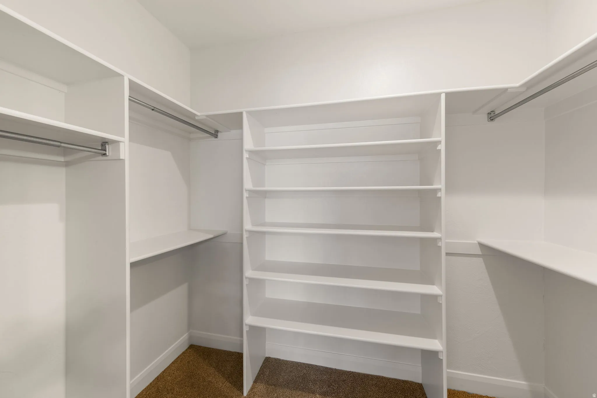 Walk-in closet with integrated white shelving, multiple hanging rods, built-in storage, and carpeted flooring